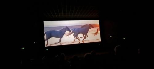 kino 1